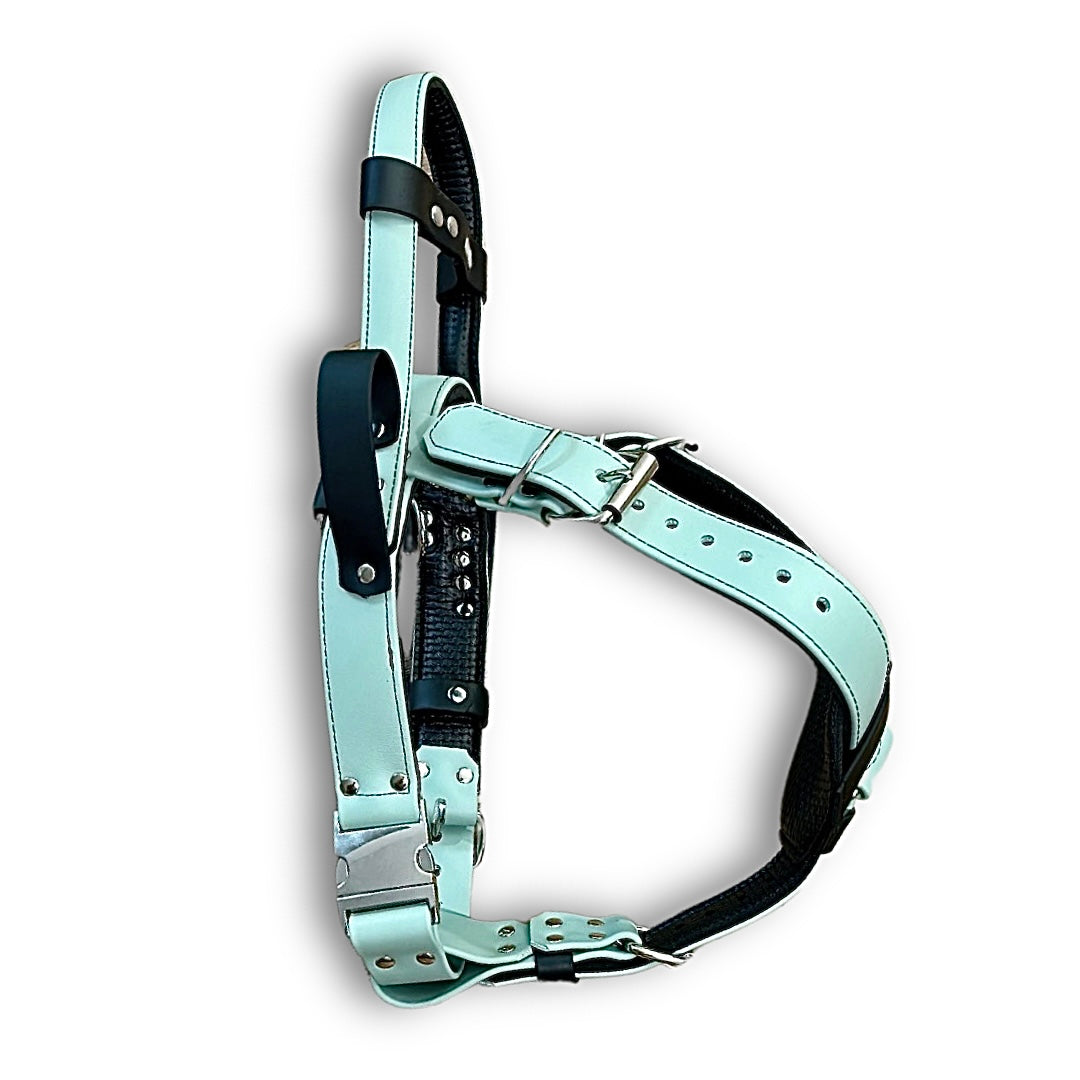 Adjustable Padded Y Front Harness made with BioThane coated webbing Misty s Dog Gear