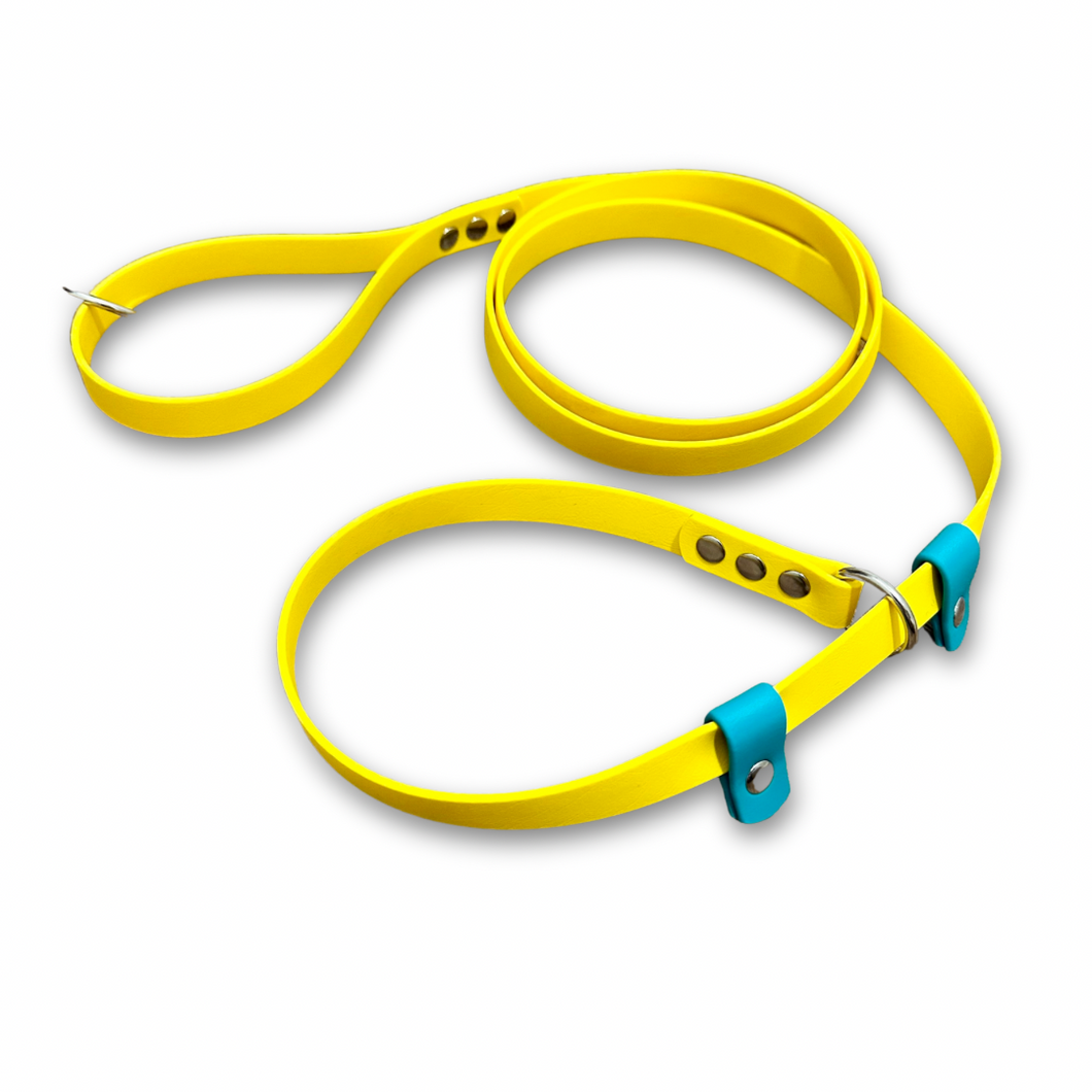 Slip Leash made with BioThane® coated webbing