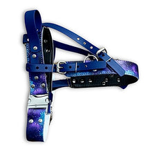 Load image into Gallery viewer, Adjustable Padded Straight Front Harness made with BioThane® coated webbing
