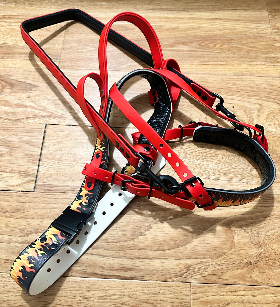 Flames Harness Set *READ DESCRIPTION*