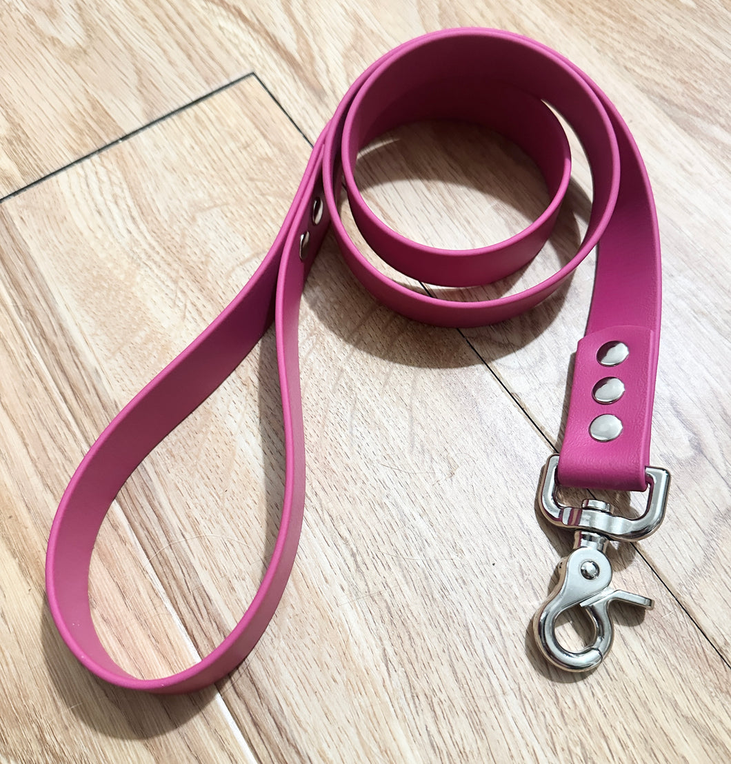 Standard Leash / 1