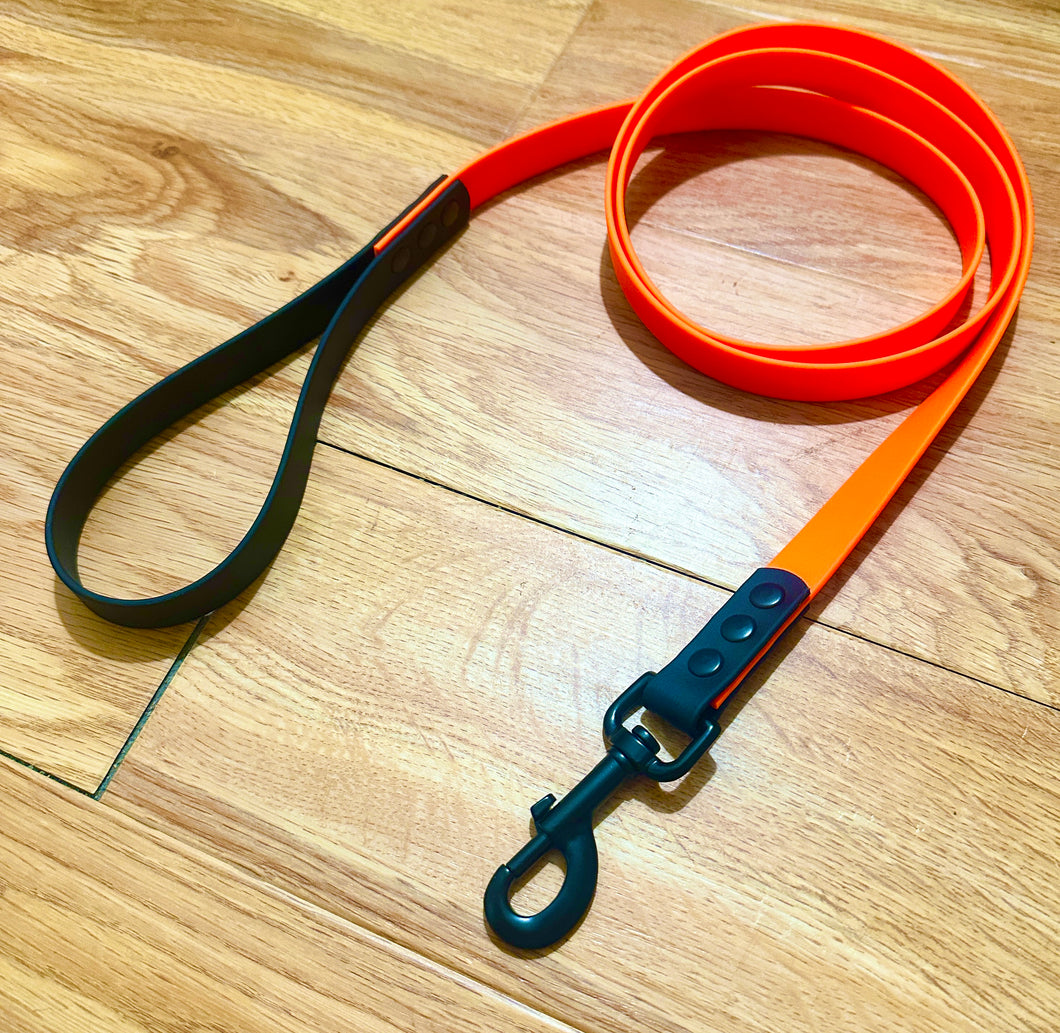 Standard Leash / 3/4