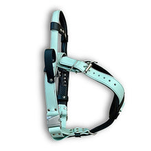 Load image into Gallery viewer, Adjustable Padded Y Front Harness made with BioThane® coated webbing
