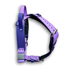 Load image into Gallery viewer, SMALL Adjustable Padded X Back Harness made with BioThane® coated webbing
