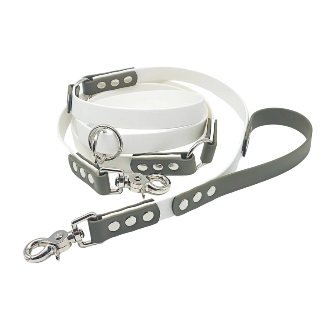 Multifunctional Leash made with BioThane® coated webbing